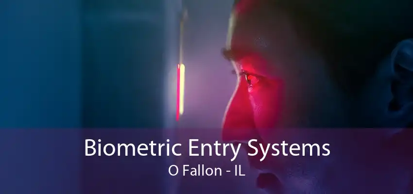 Biometric Entry Systems O Fallon - IL