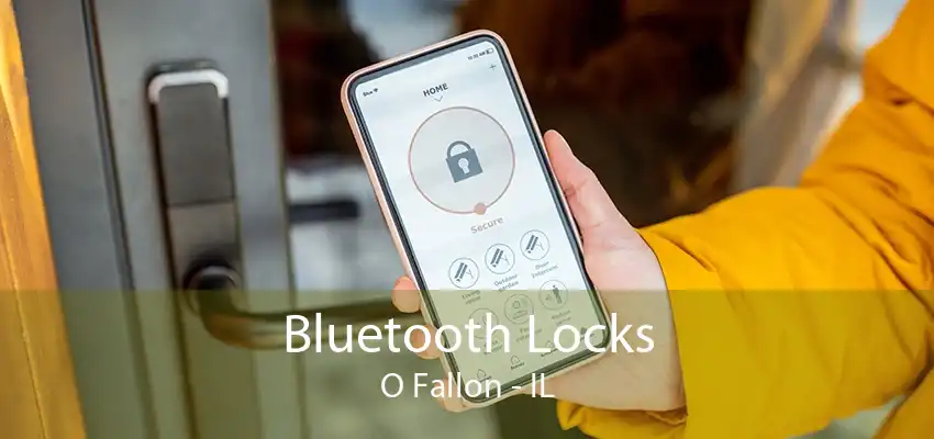 Bluetooth Locks O Fallon - IL