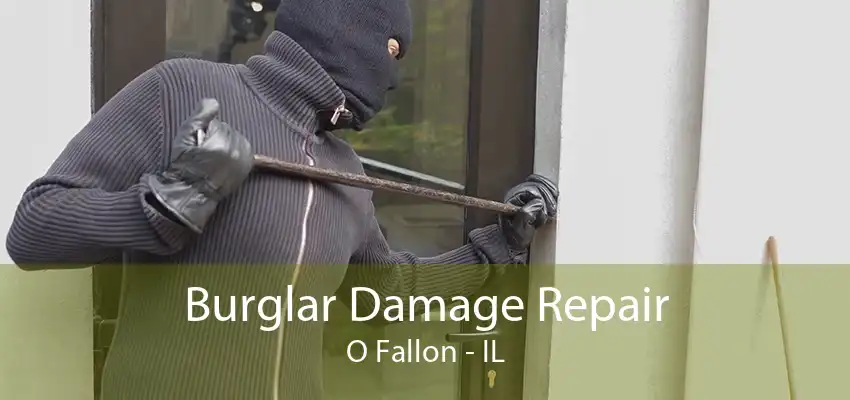 Burglar Damage Repair O Fallon - IL