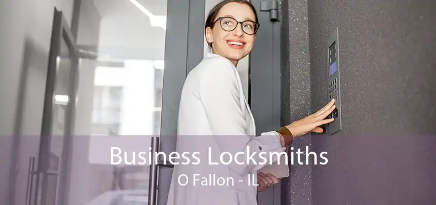 Business Locksmiths O Fallon - IL