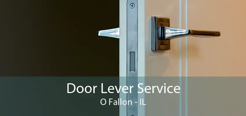 Door Lever Service O Fallon - IL