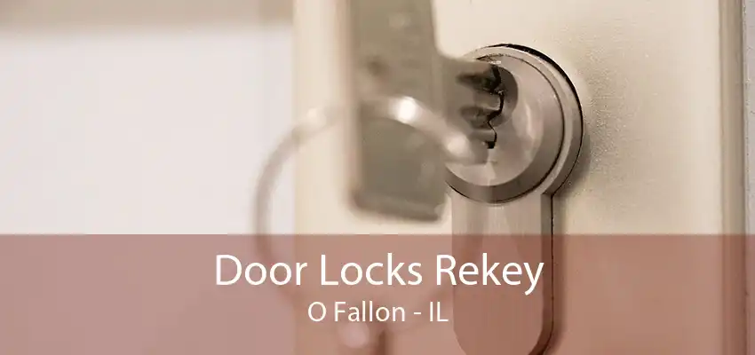 Door Locks Rekey O Fallon - IL