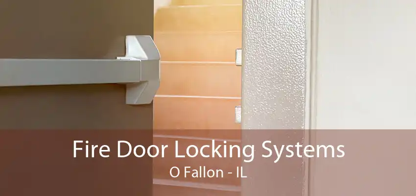 Fire Door Locking Systems O Fallon - IL