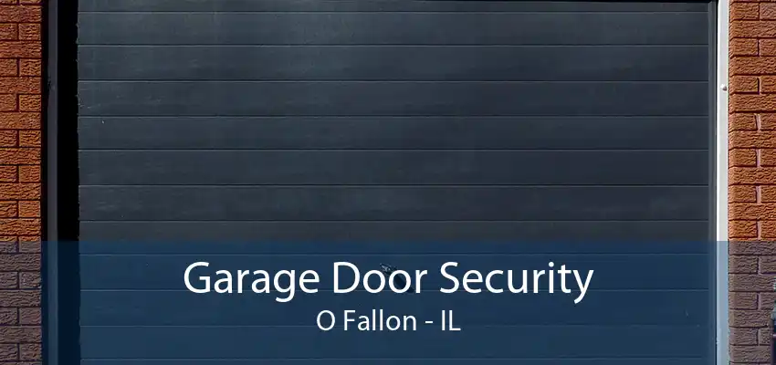 Garage Door Security O Fallon - IL