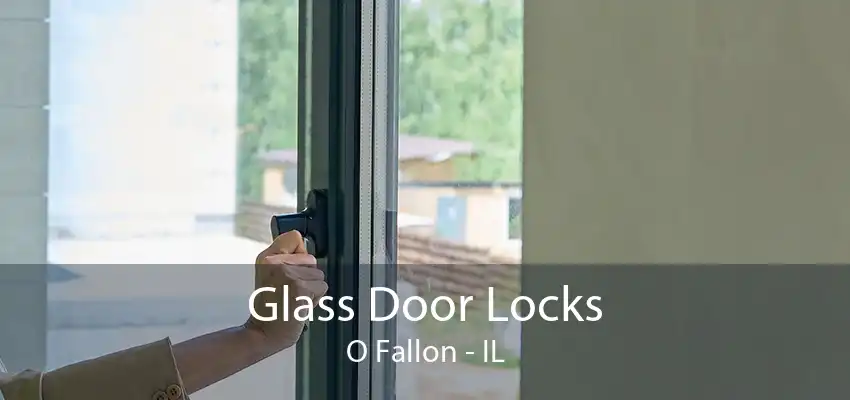 Glass Door Locks O Fallon - IL