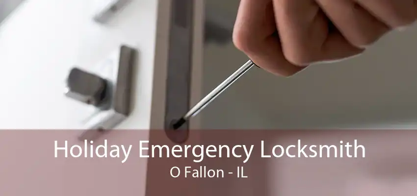 Holiday Emergency Locksmith O Fallon - IL