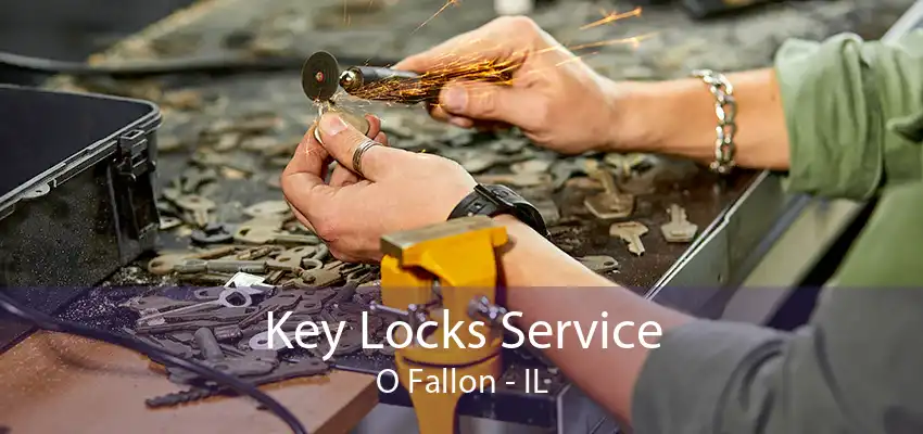 Key Locks Service O Fallon - IL