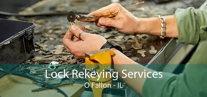 Lock Rekeying Services O Fallon - IL