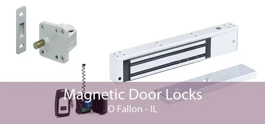 Magnetic Door Locks O Fallon - IL