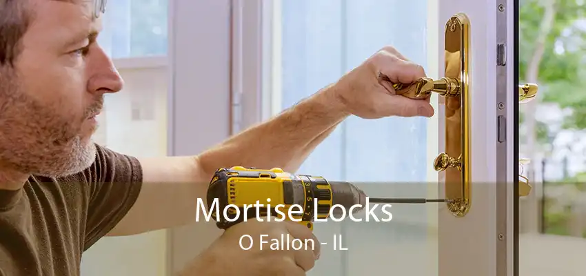 Mortise Locks O Fallon - IL