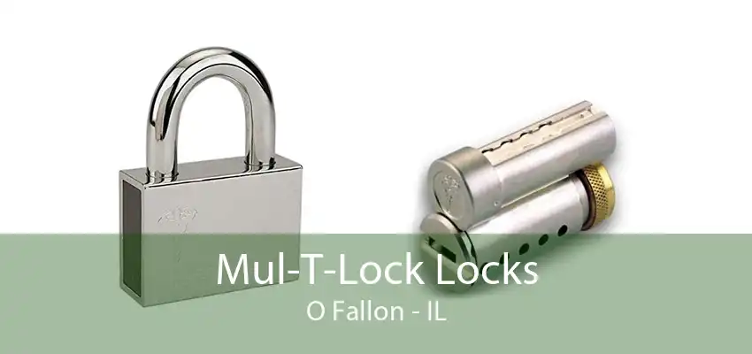 Mul-T-Lock Locks O Fallon - IL