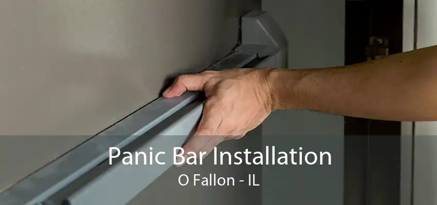 Panic Bar Installation O Fallon - IL