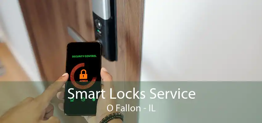 Smart Locks Service O Fallon - IL