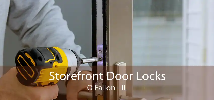 Storefront Door Locks O Fallon - IL