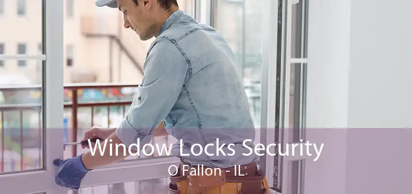 Window Locks Security O Fallon - IL